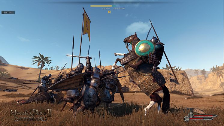 Mount & Blade II: Bannerlord - Captain 4