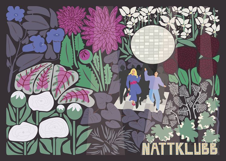 Blomsterprogram - Nattklubb