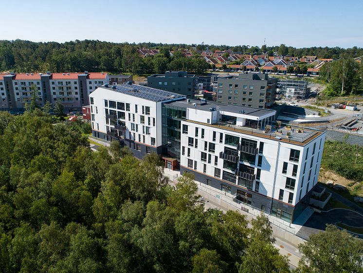 Sisjodal-web-1