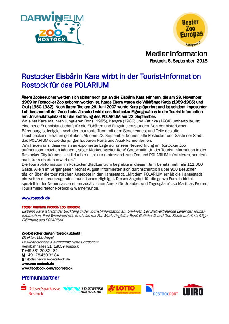 Eisbärin Kara wirbt in der Tourist-Information Rostock für das POLARIUM