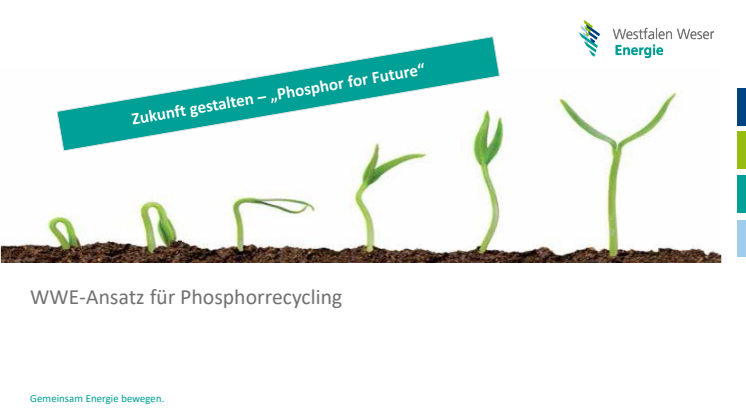 WWE-Ansatz für Phosphorrecycling