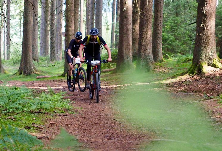 Gravel Rallye Black Forest