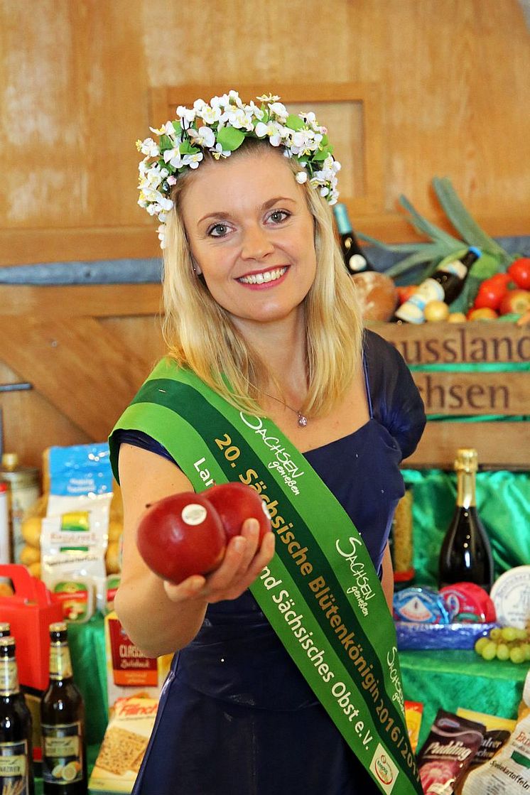 Die 20. Sächsische Blütenkönigin Janett Schnabel präsentiert Äpfel vom Obstland Dürrweitzschen