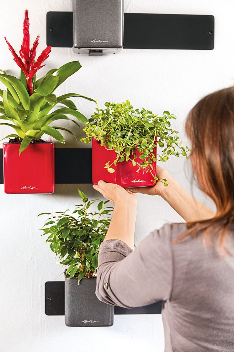 Mit wenigen Handgriffen zur Green Wall