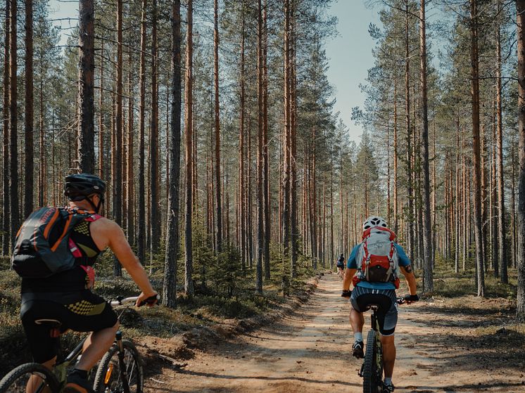Cykling Umeåregionen
