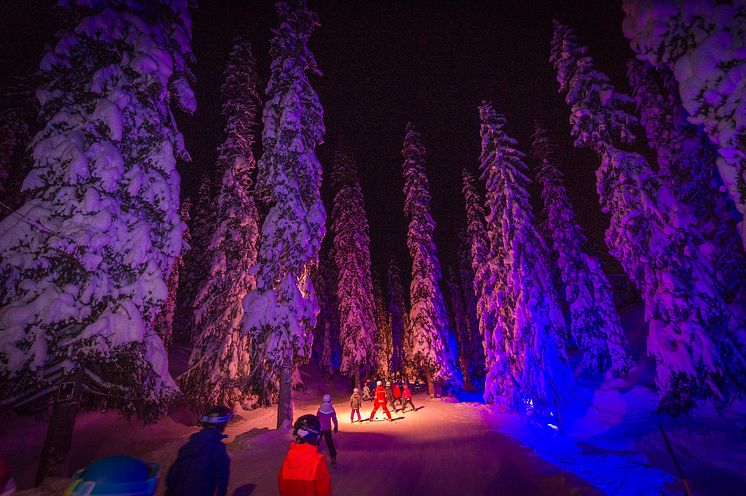 Sälen Hundfjället Trollskogen kväll skidskola grupp.jpg