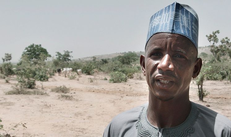 Alhaji Sani Aliyu, dairy farmer