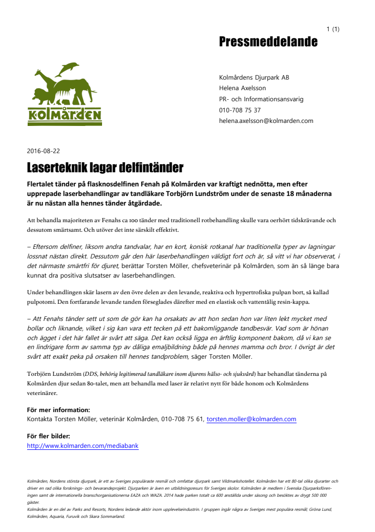 Laserteknik lagar delfintänder