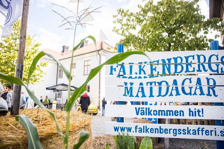 Falkenbergs Matdagar