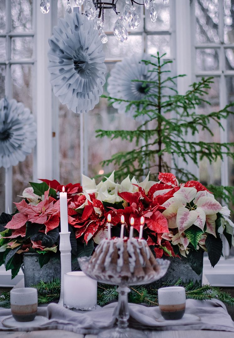 1. Julstämning med stjärnor tolkat av Åsa Myrberg, atmycasa