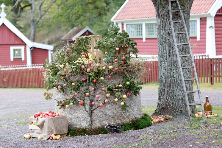Äppeldekoration under skördefesten, foto Jessica Lund