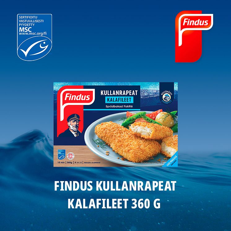 1-msc graf 1080x1080 SoMe FINDUS FIN 2024.jpg