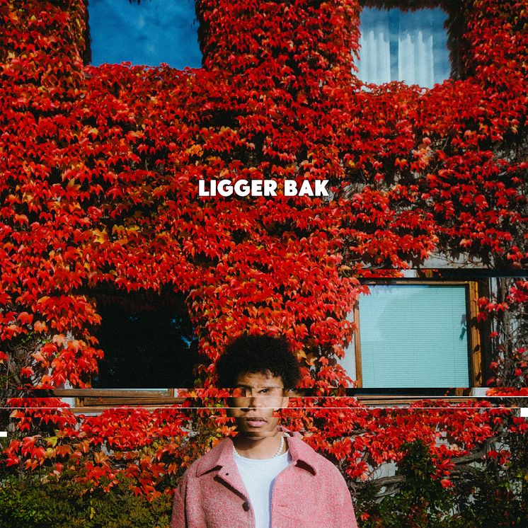 Makosir - Ligger bak - Artwork (1)