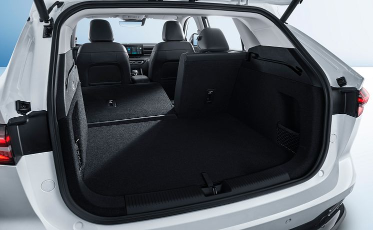 Trunk-2.jpg