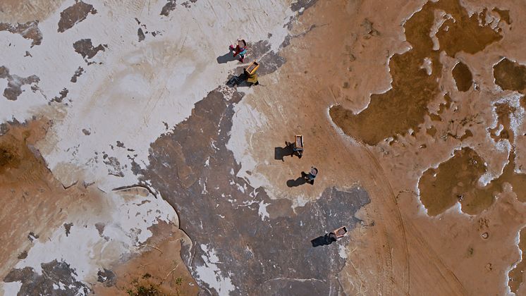 Yann Arthus Bertrand DJI Master 8