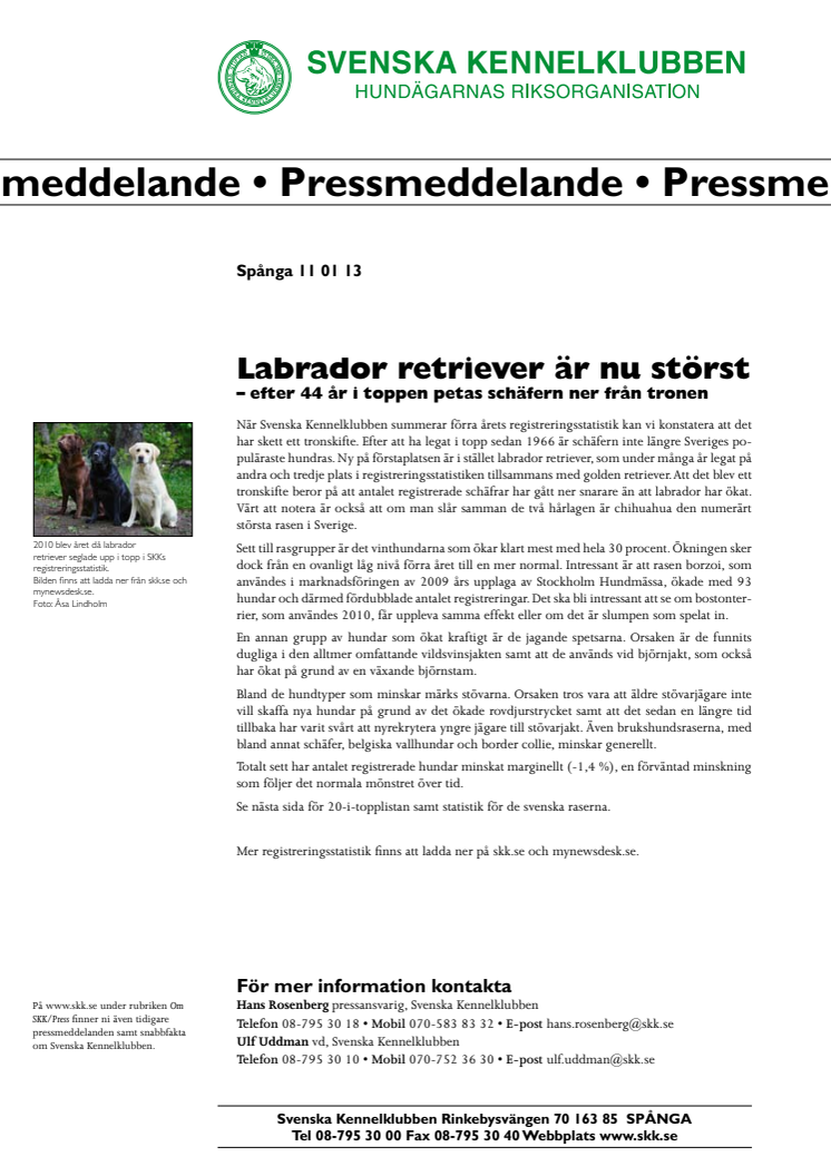 Labrador retriever är nu störst – efter 44 år i toppen petas schäfern ner från tronen