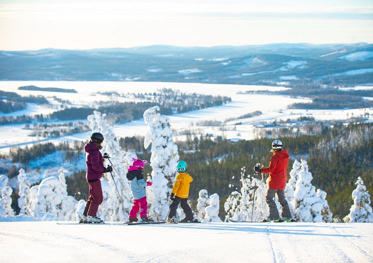 Skidåkare Järvsöbacken