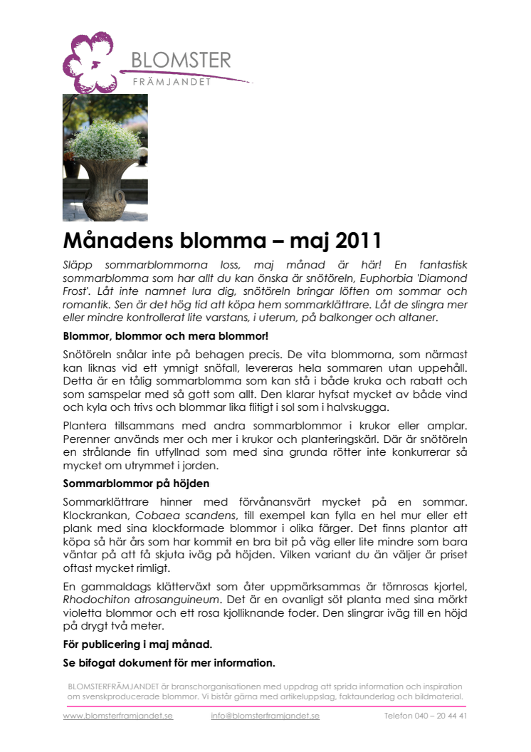 Månadens blomma - maj 2011