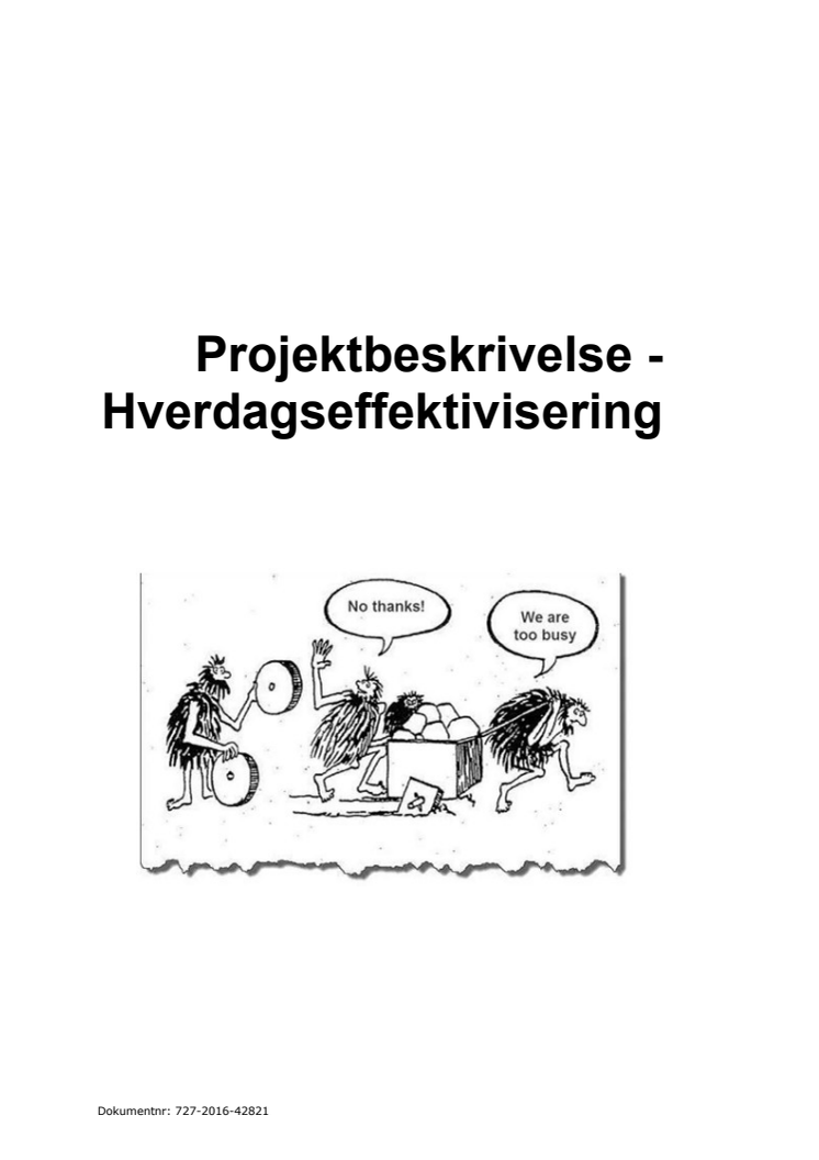 Hverdagseffektiviseringer