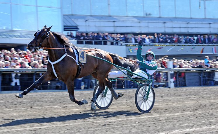 Maharajah vinner Olympiatravet 2013