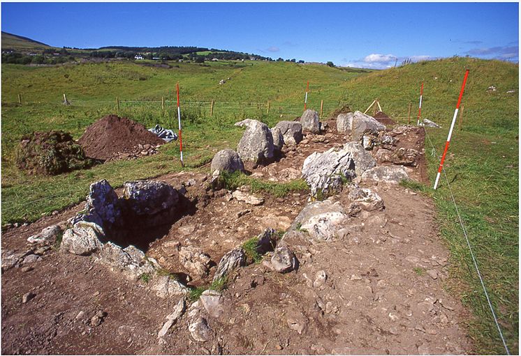 Primrose, Ireland, after excavation