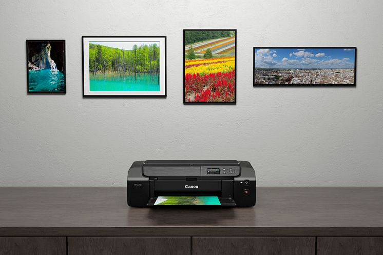 PIXMA PRO-200 SIS Prints AMBIENT 06