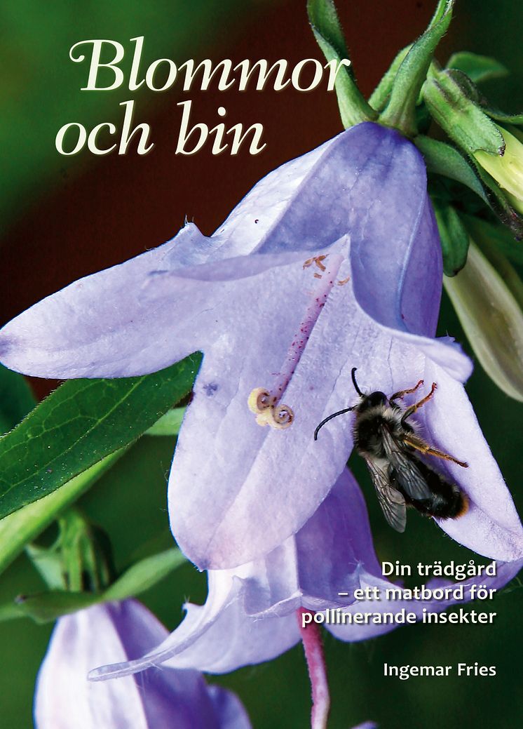 Blommor och bin, din trädgård - ett matbord för pollinerande insekter