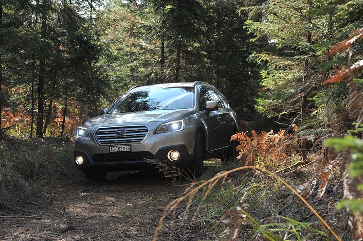 Nya Subaru Outback