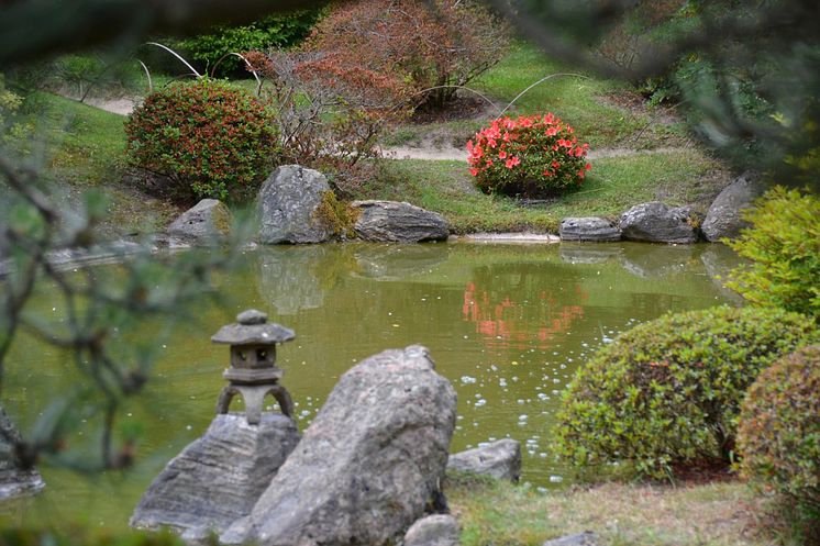 Bonsaigarten_TMB-Fotoarchiv_Matthias_Schäfer