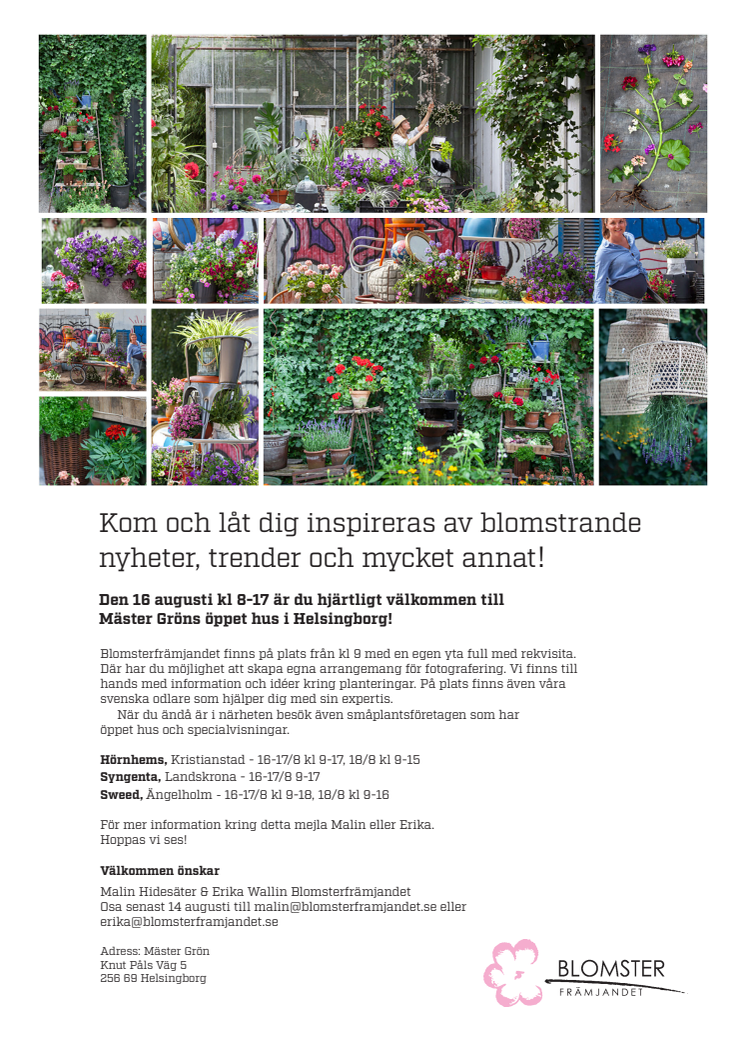 Pressinbjudan - blomstrande nyheter, trender och massor av inspiration!