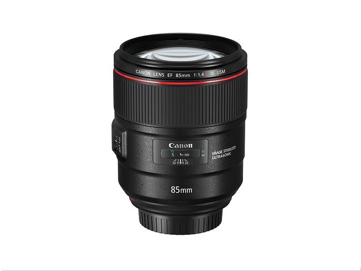 EF 85mm F1.4L IS USM Bild4