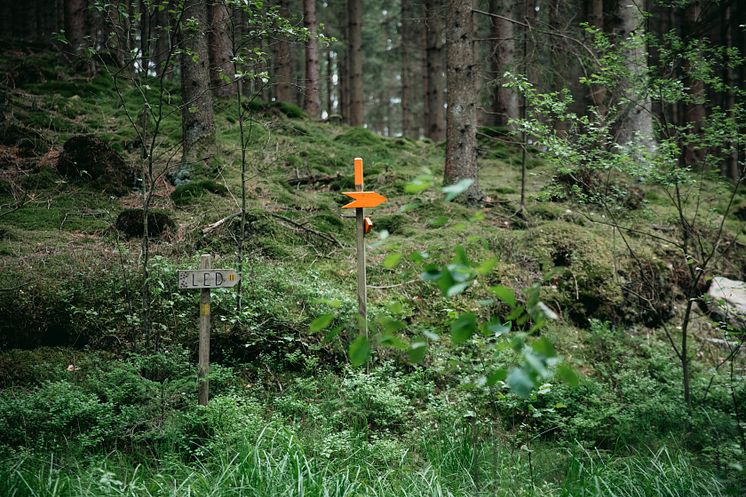 Hallandsleden_skyltning längs leden