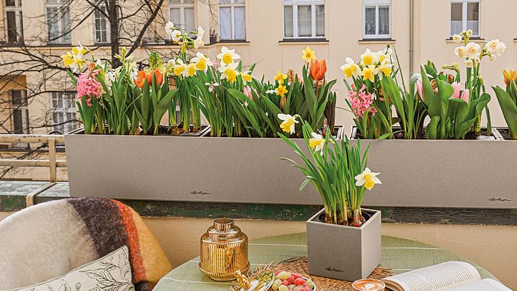 Willkommen, lieber Frühling!