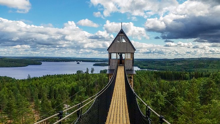 Hängbro i världsklass på Little Rock Lake Zipline i Småland