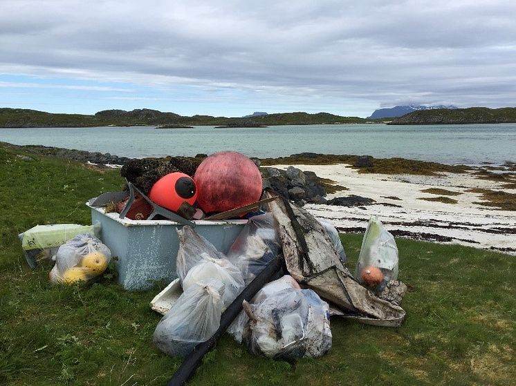 Plast i strandsonen