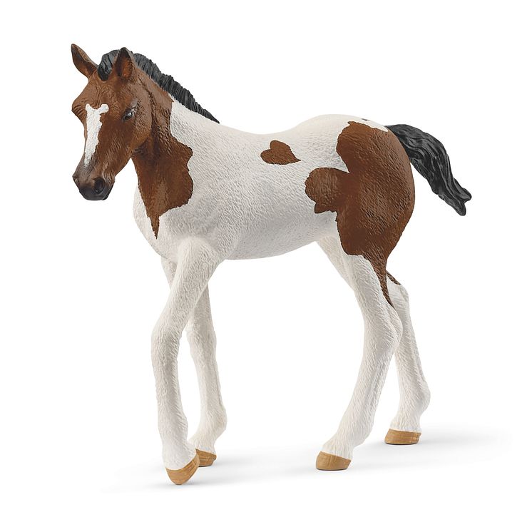 14899_Horse Club_Paint Horse Fohlen_(c)schleich®