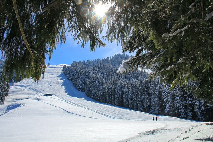 Winterwanderung Heiligkreuz-First (via kleine First) 