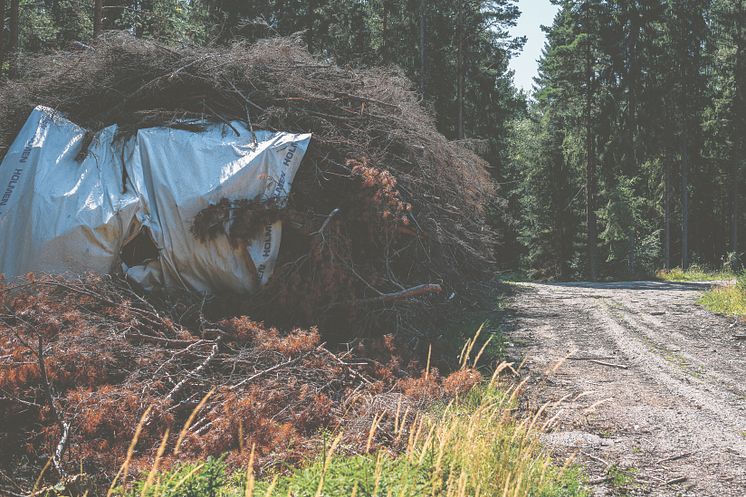 Biobränsle från Holmen_Foto Crelle