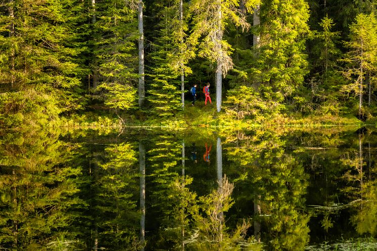Enzklösterle_Nördlicher_Schwarzwald_Kaltenbachsee_.jpg
