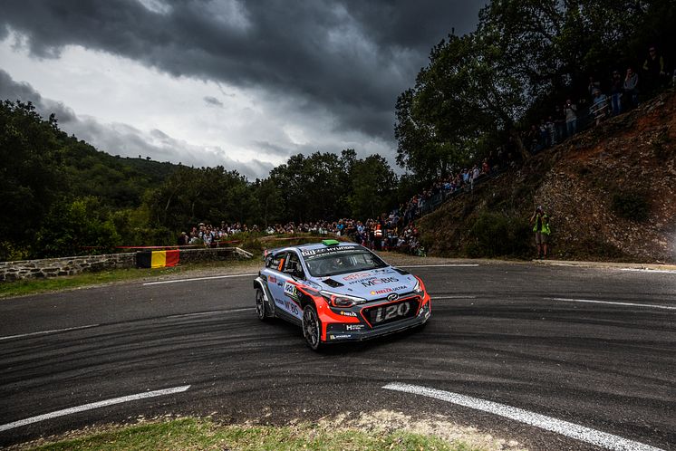 Paddon - Tour de Corse