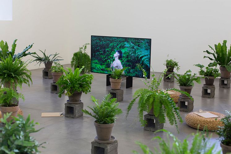 Installation shot, Zheng Bo: Pteridophilia 1, 2016, courtesy of Migros Museum für Gegenwartskunst, Zurich