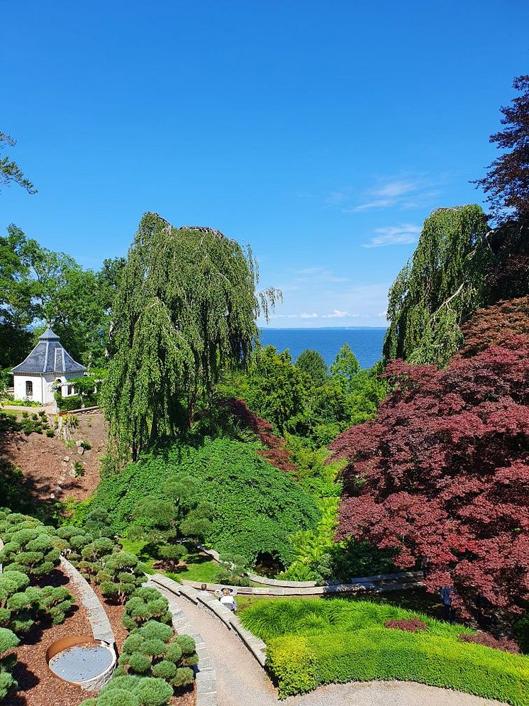 Japanska trädgården