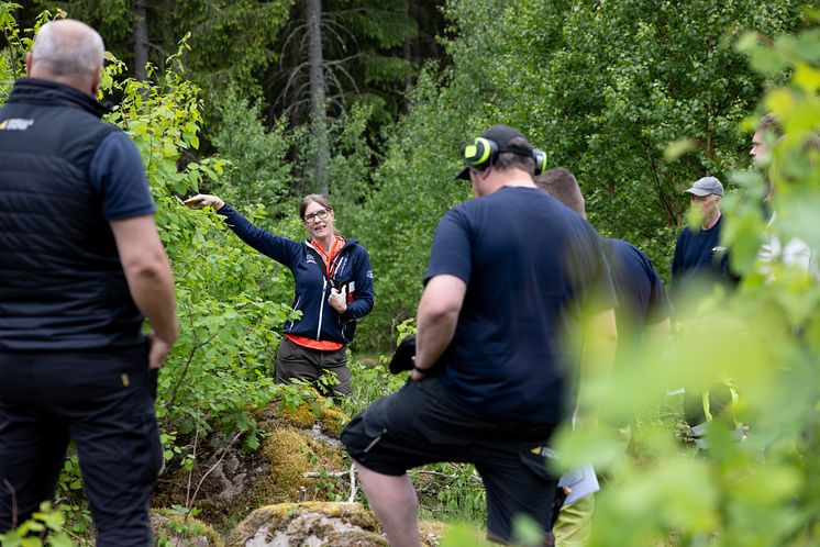 Biologisk mångfald vid kraftledningsgata