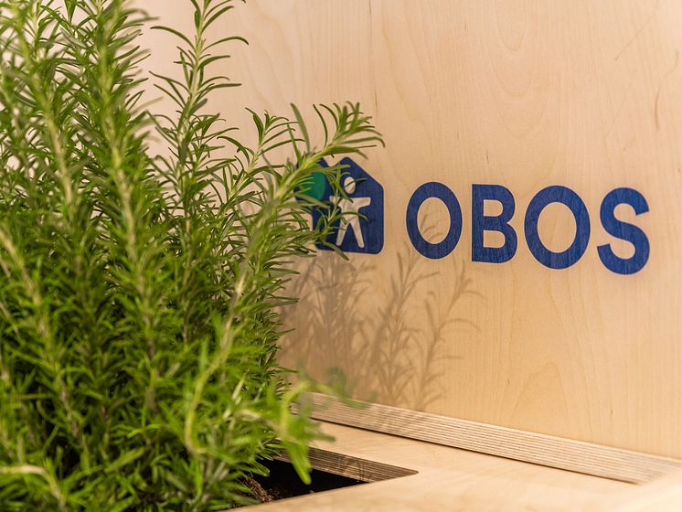 OBOS