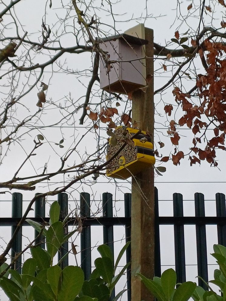 Harlington homes for nature