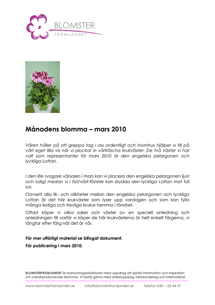 Månadens blomma – mars 2010  