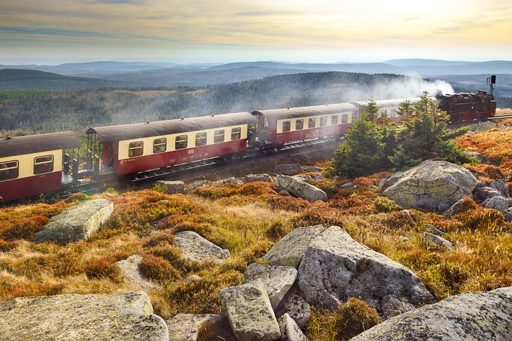 Harz: Historic narrow-gauge train with steam engine in the National Park Brocken 