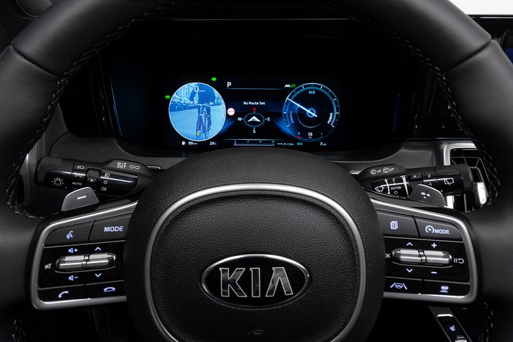 Kia Sorento_blindspot