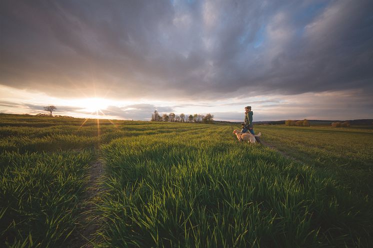 Tierische Entschleunigung beim Wandern mit Hund.