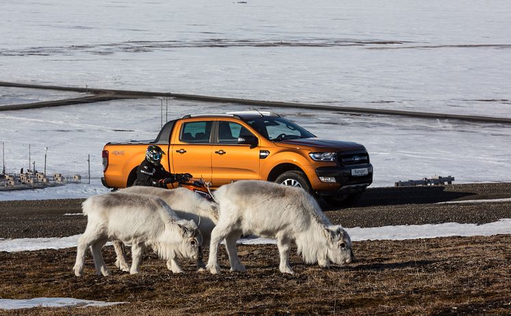 Ford Ranger Svalbard